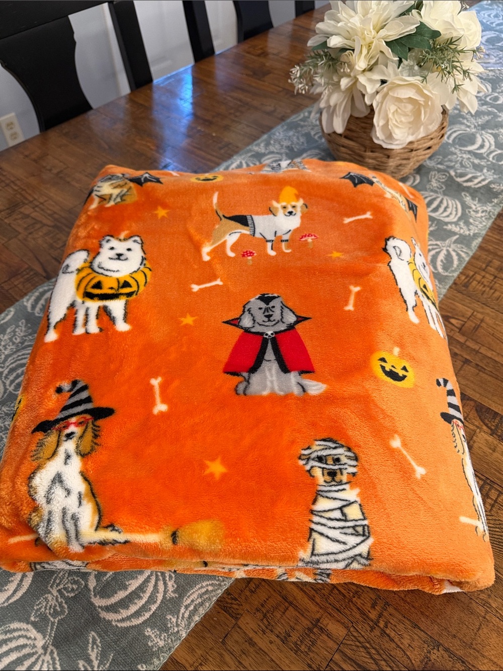 Halloween Blanket Canines in Costume